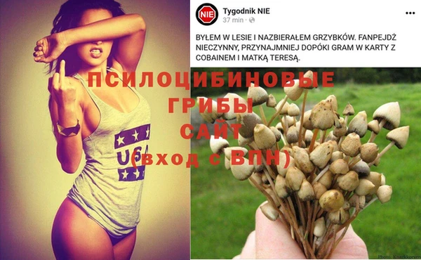 стафф Лагань