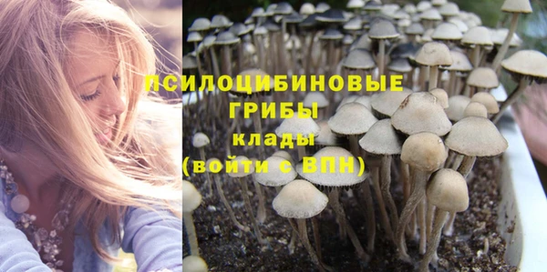 спиды Иннополис