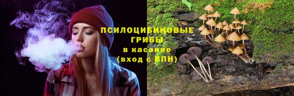 ГАЛЛЮЦИНОГЕННЫЕ ГРИБЫ Лихославль